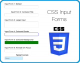 CSS Input Forms